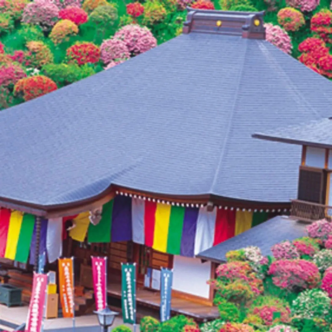 PUZZLE - PRIMAVERA NO JAPÃO 260 PEÇAS